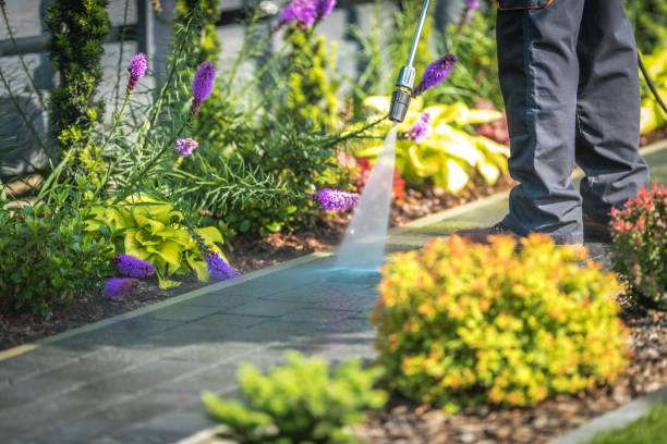 Best Gutter Cleaning  in Valley Forge, TN